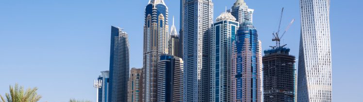 Nowoczesne wieżowce Dubai Marina z palmami na pierwszym planie, charakterystyczna architektura i drapacze chmur na tle bezchmurnego nieba.