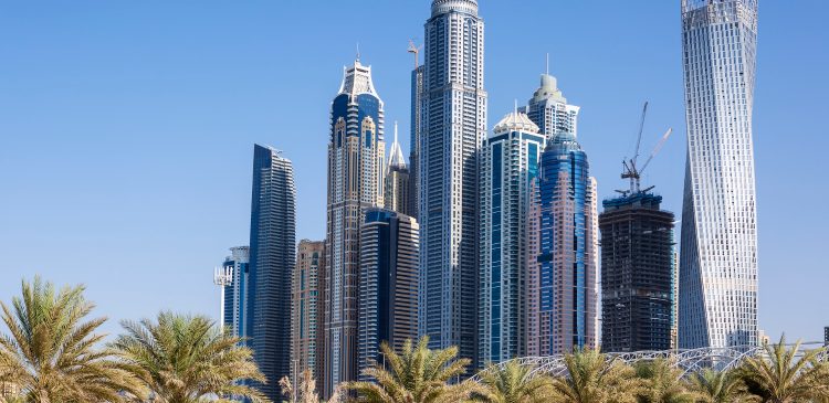 Nowoczesne wieżowce Dubai Marina z palmami na pierwszym planie, charakterystyczna architektura i drapacze chmur na tle bezchmurnego nieba.